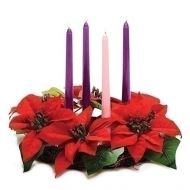 Poinsettia Advent Wreath