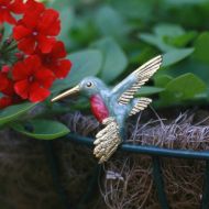 Hummingbird Moments Take Our Breath Away Pin