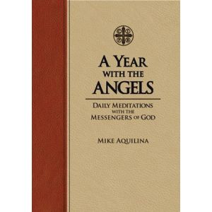 A Year with the Angels: Daily Meditations