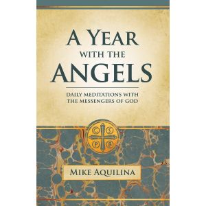 A Year with the Angels (PaperBack)