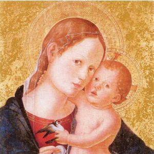 Holy Child & Bird Christmas Card 4x4 Pack