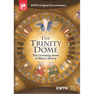 The Trinity Dome DVD